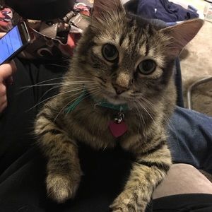 Meet your Posher, Sabrina